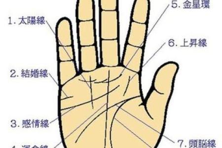 手相图解大全女右手算命 看手相算命图解女性右手