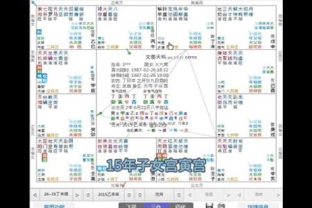 紫薇斗数命主详解