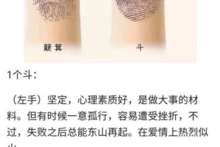 看指纹算命