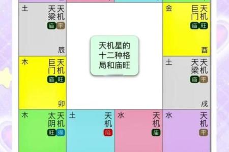 右星紫薇斗数