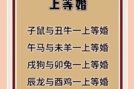 婚姻好不好，还得看八字和属相合不合！