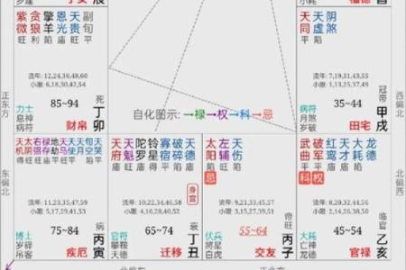 手机紫薇斗数app