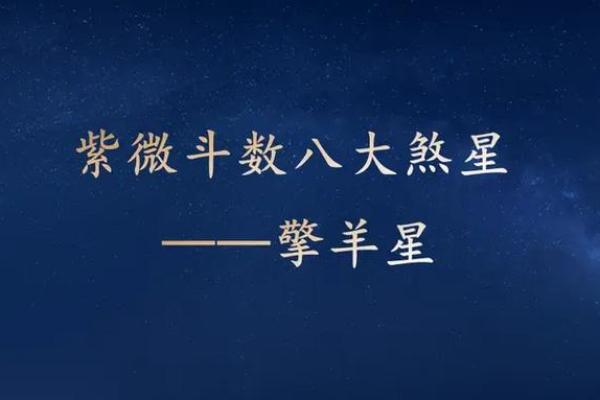 庄氏紫微斗数入门基础知识 庄氏资料？