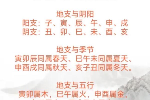 什么叫四柱八字_干支起名