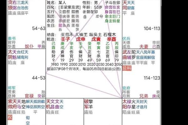 旬空紫薇斗数