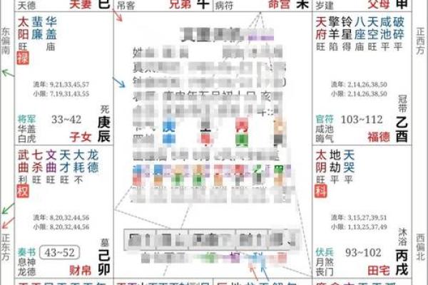 飞星紫微斗数原旨（斗数观测录）