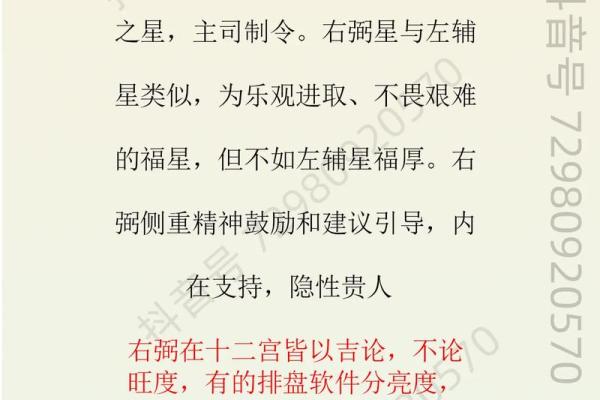 紫薇斗数中左辅右弼