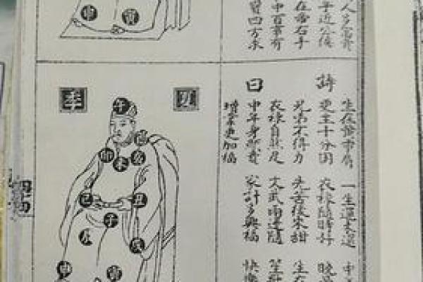 牙齿算命：牙齿面相学