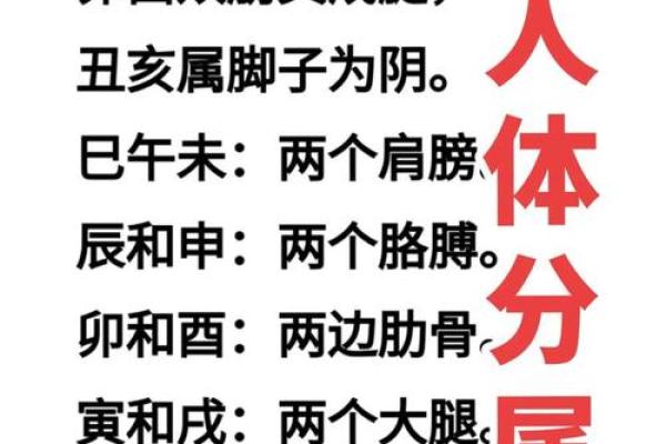 八字命宫作用