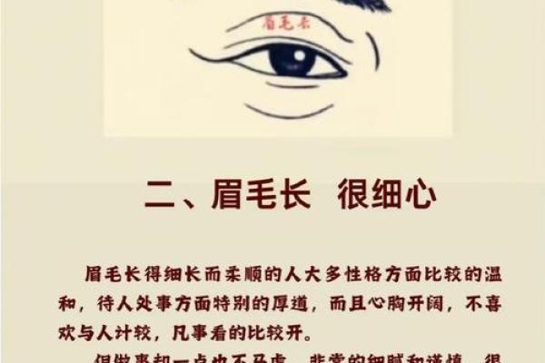 八字眉眉尾下垂的男人面相解析