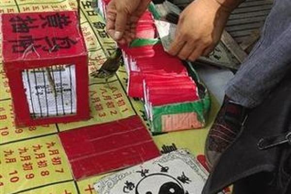 算命好吗