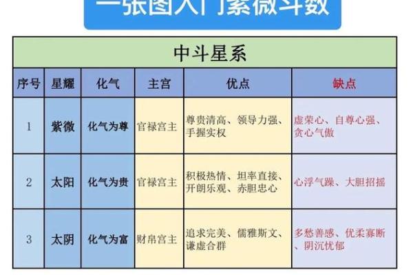 紫薇斗数详解软件