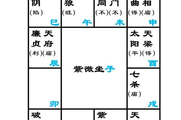 紫薇斗数详解软件