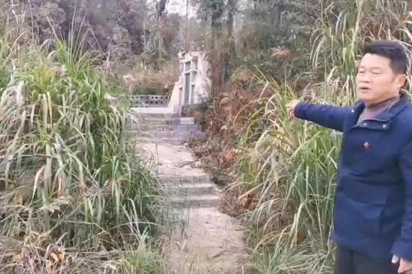 天星风水张子成风水