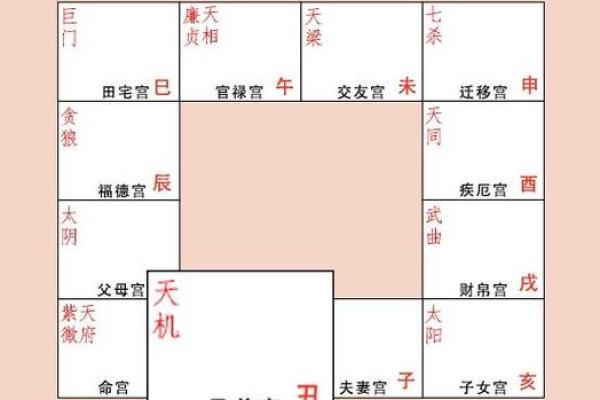 天机紫薇斗数长相
