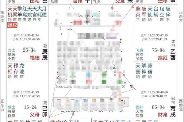 紫薇斗数 命盘是怎么看