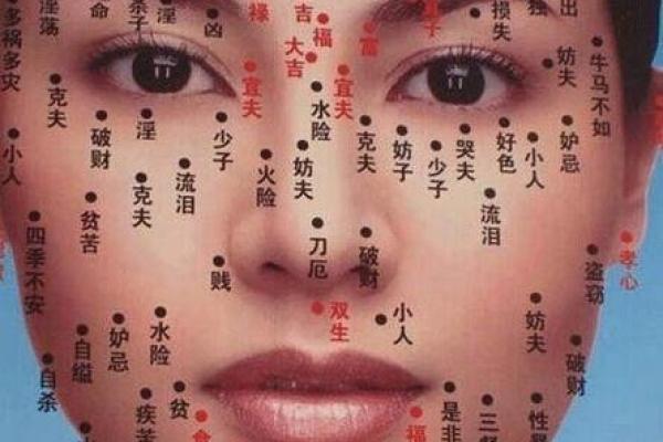 脸上胎记算命图解