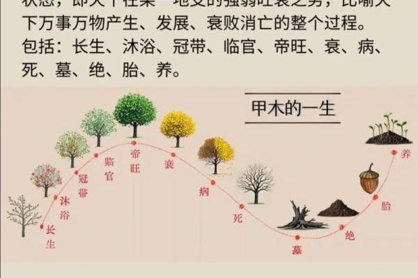 国学八字—命主婚姻的早晚如何看？