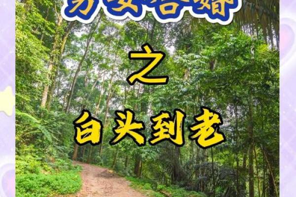 八字算命爱情 这几个八字的组合容易在一起白头偕老