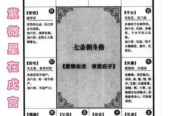 紫薇斗数紫微星位置咋确定