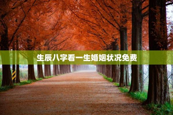 如何通过生辰八字婚姻免费测试来预测婚姻状况