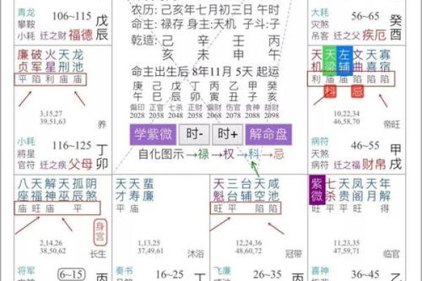 紫微斗数姻缘星 紫薇星盘姻缘？