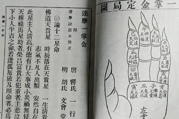 一掌算命