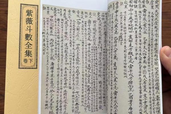 紫薇斗数文章