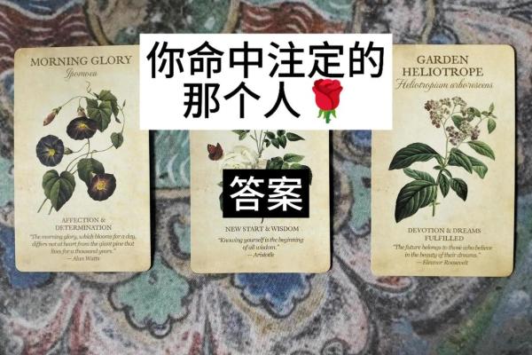 塔罗测试：你在事业上的野心能实现吗？