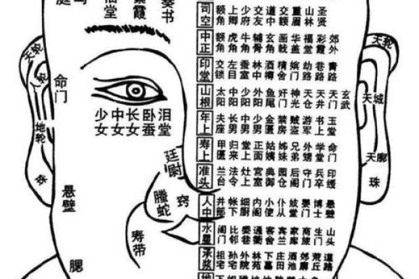 面相算命看法的特征,面相的基本看法