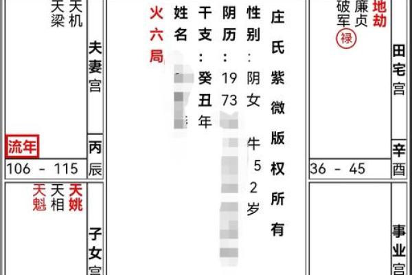 紫薇斗数财帛6