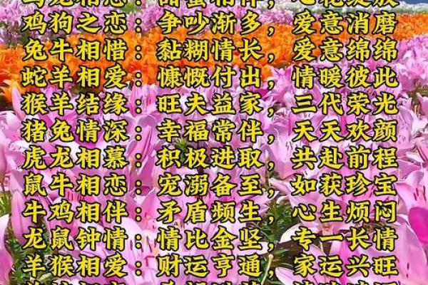 姓名婚姻测试配对三藏 姓名测姻缘 免费测试？