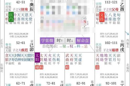紫薇斗数查流年
