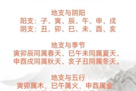 什么叫四柱八字_干支起名