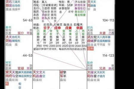 旬空紫薇斗数