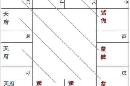 紫微斗数紫薇星排盘