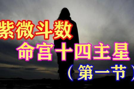 紫薇斗数胡老师