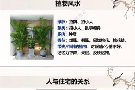 跟着风水调节，可提升夫妻缘分