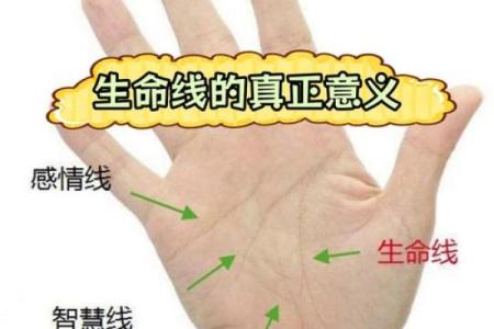 生命线算命：手掌上的玄机真能预测你的命运？