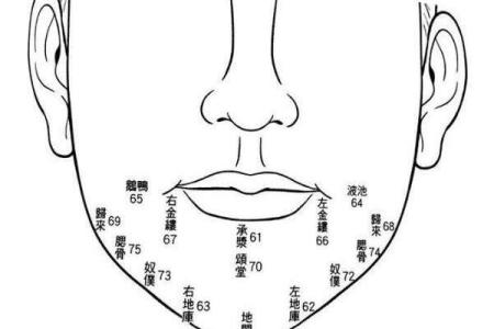 子女缘分测试免费查询 子女缘准吗？