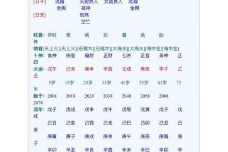 八字命格很高是什么意思