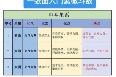 紫薇斗数详解软件