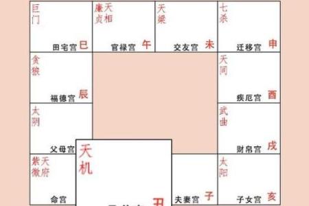 天机紫薇斗数长相