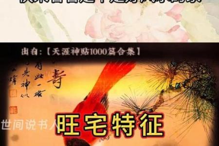 这样的房屋风水造福后代，易出贵人