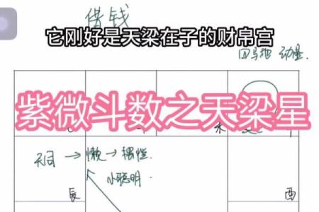 天粱紫薇斗数