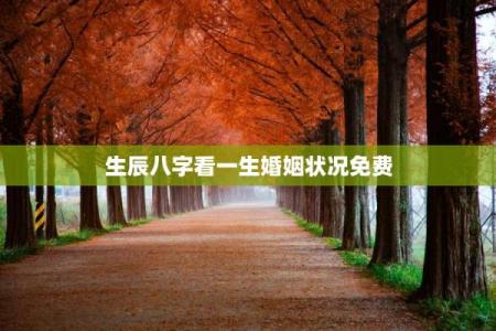 如何通过生辰八字婚姻免费测试来预测婚姻状况
