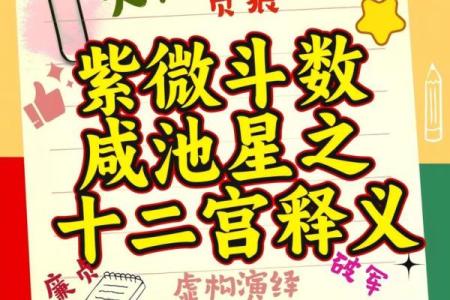 紫微斗数诸星落诸宫之：官禄宫