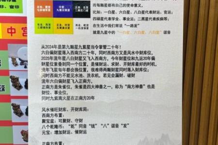 紫薇斗数太岁流年