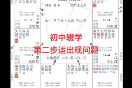 刘嘉玲命理紫薇斗数