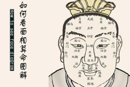 看相算命图解